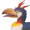 Dwarf Cassowary